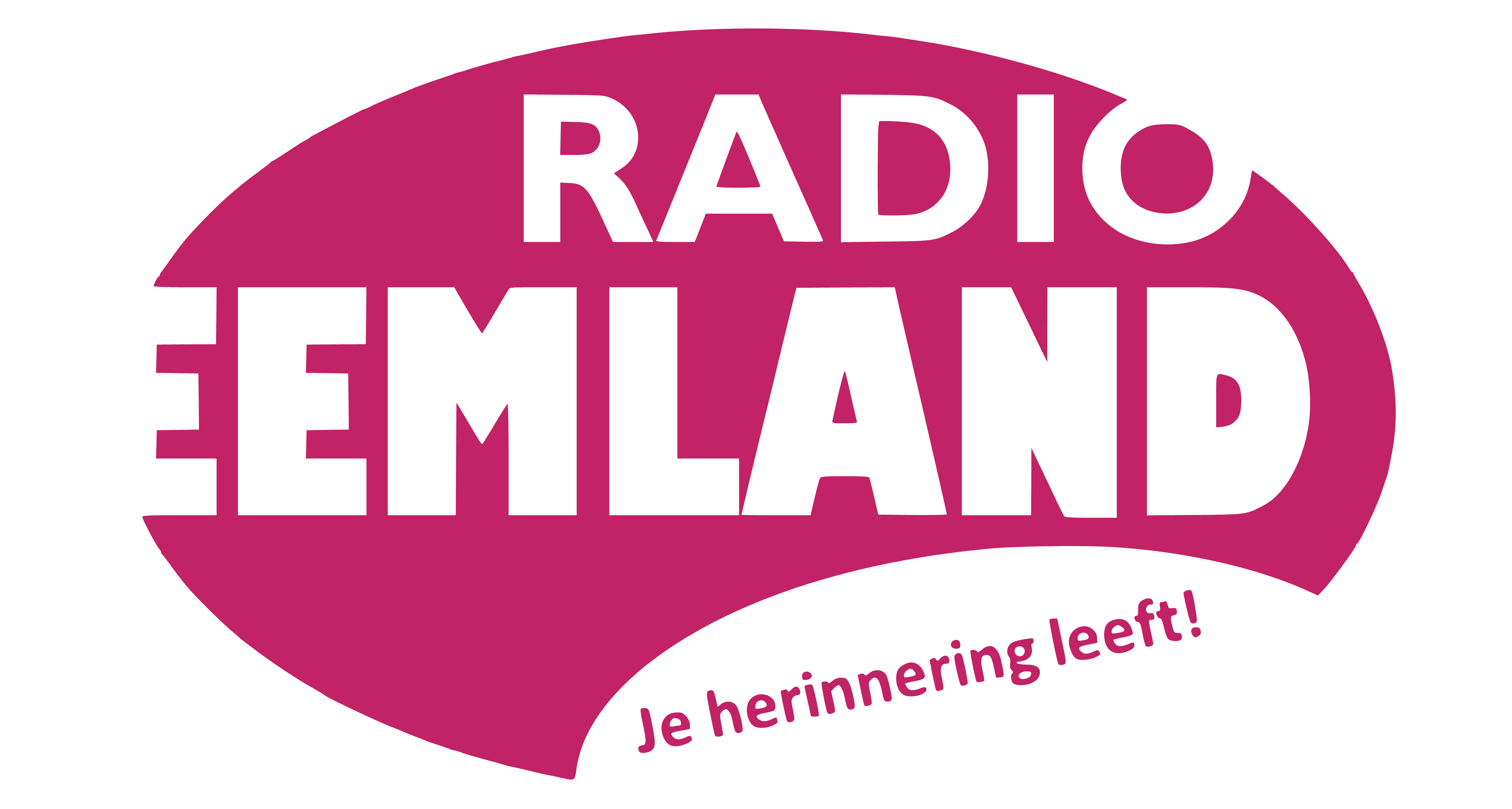 Logo for Live Studio Eemland
